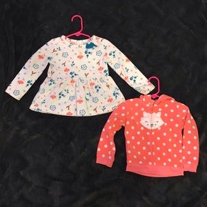 Lot of 2 Long Sleeved Toddler Girl Shirts